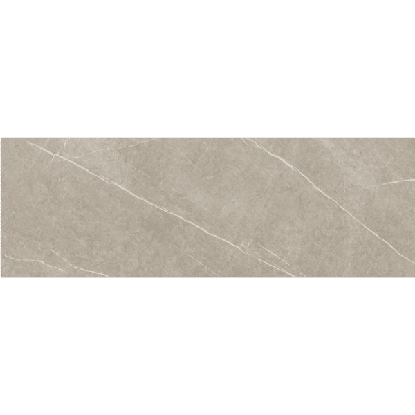 Eternal Taupe Beige Tile 330 x 1000