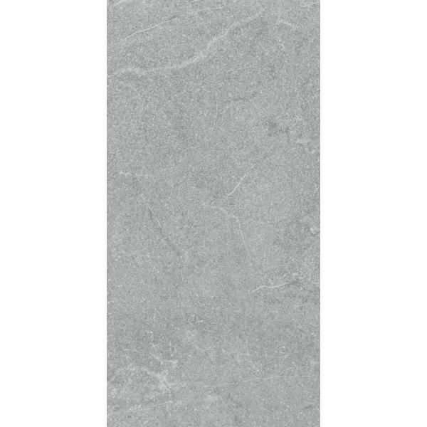 Stoneline Grey 300mm x 600mm Tile